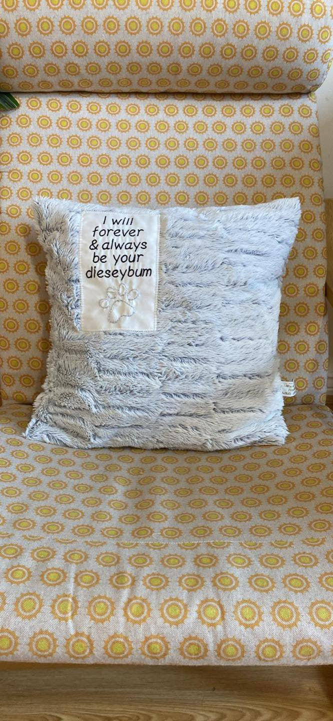 Memory Cushion
