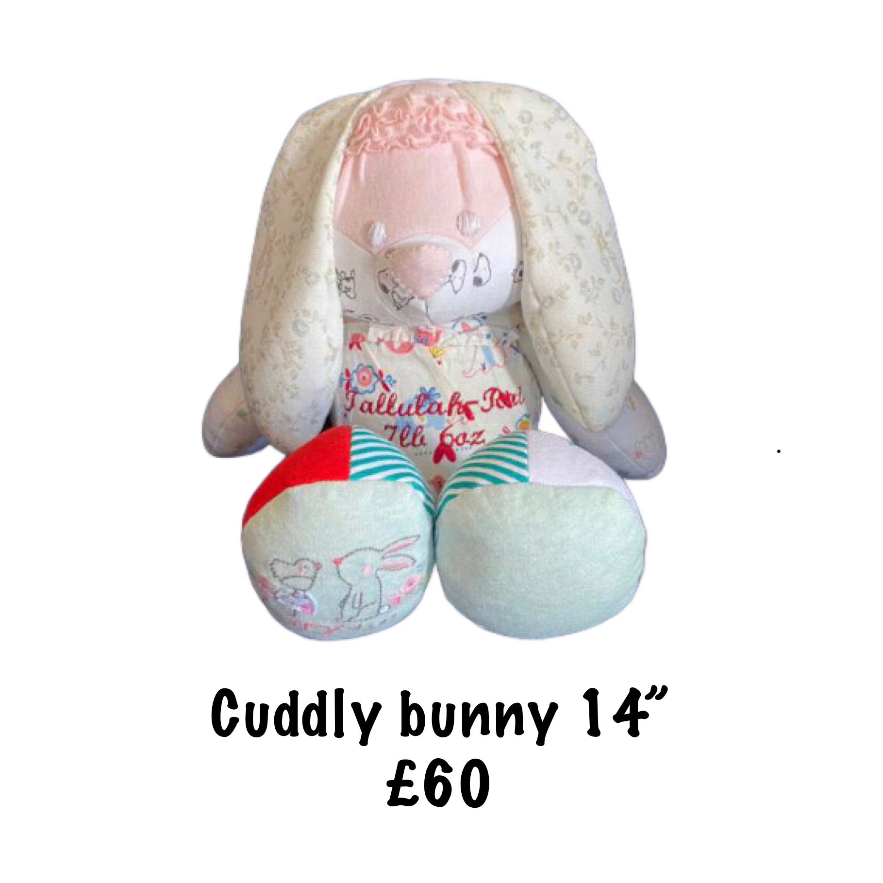 Cuddly Memory Bunny