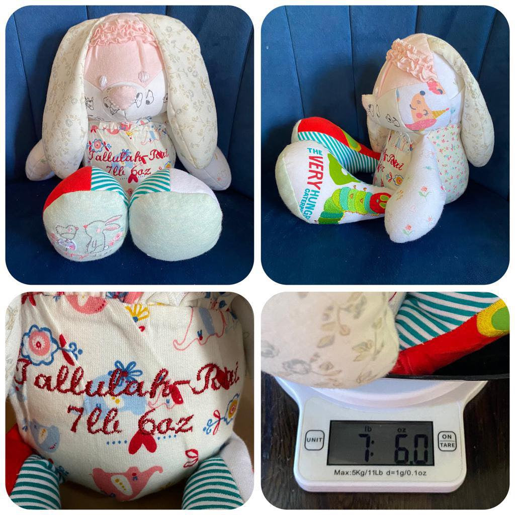 Cuddly Memory Bunny